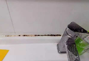 【包頭舊房裝修公司_二手房翻新裝修,改造】